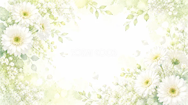 白いデイジーの白い花水彩背景