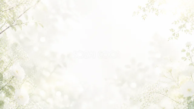 木漏れ日の白い葉の光あふれる白いボタニカル背景