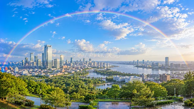 湾岸の高層都市を見渡す青空に架かる虹の背景