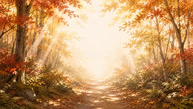 木漏れ日が差す赤い紅葉の深い森の小道背景