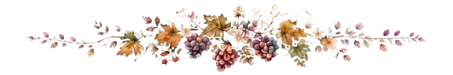 紅葉とぶどうを華やかに束ねた秋の水彩飾り罫（背景透過PNG）