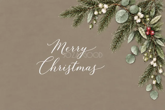 もみの枝とユーカリの右上コーナー飾りのグレージュ水彩クリスマスカード（Merry Christmas文字入り）