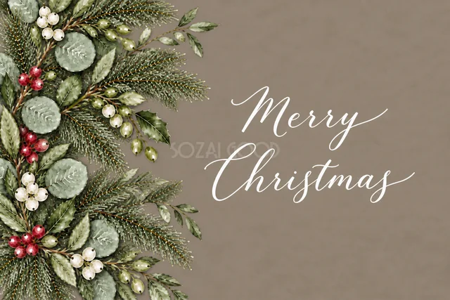 もみの枝とユーカリの左側ボーダーのグレージュ水彩クリスマスカード（Merry Christmas文字入り）