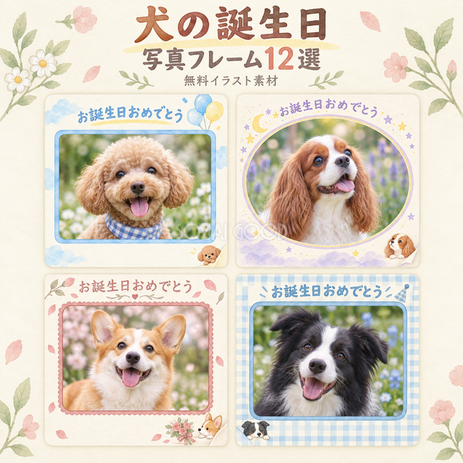 犬の誕生日写真枠12選