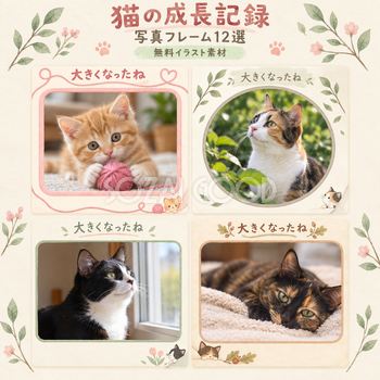 猫の成長記録写真フレーム12選｜日々の成長アルバムの無料イラスト素材 101084