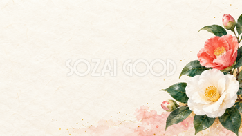 椿の花・横長の右飾りの和風背景｜無料イラスト素材 102503