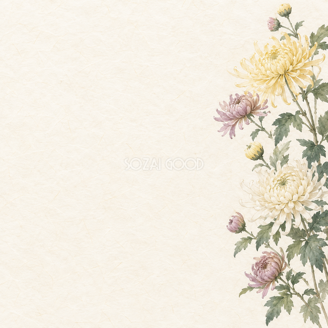 菊の花右辺背景
