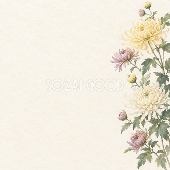 菊の花・右辺の和風背景｜無料イラスト素材 102507