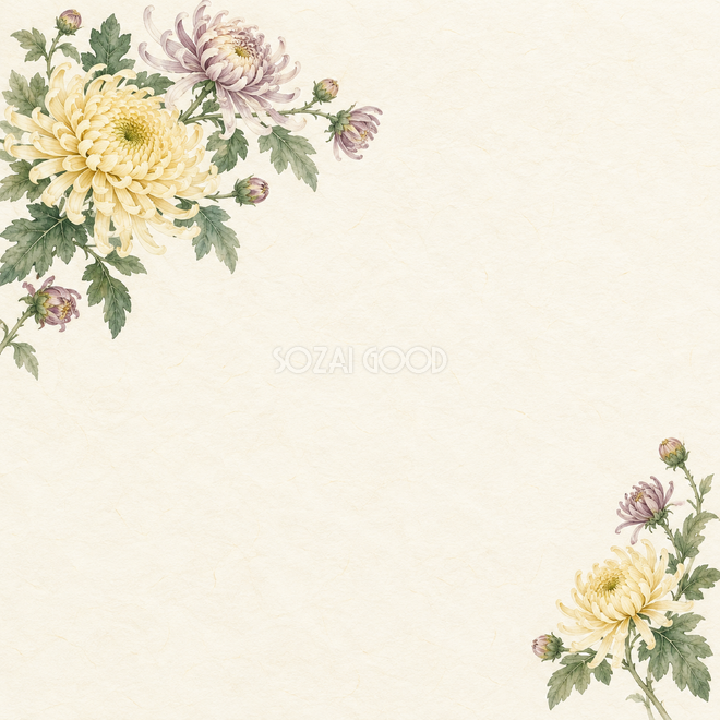 菊の花上下背景 菊の花上下背景