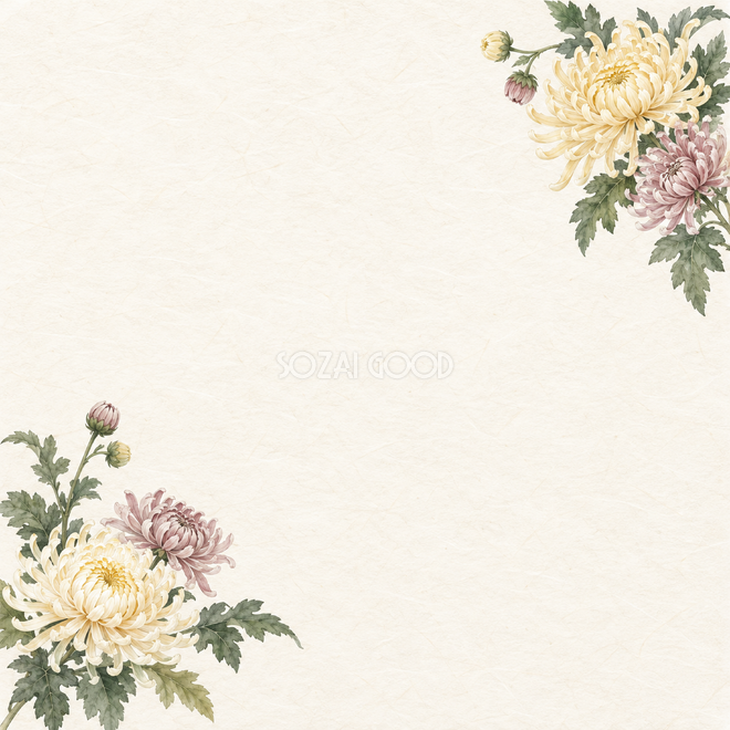 菊の花小さな彩り背景 菊の花小さな彩り背景