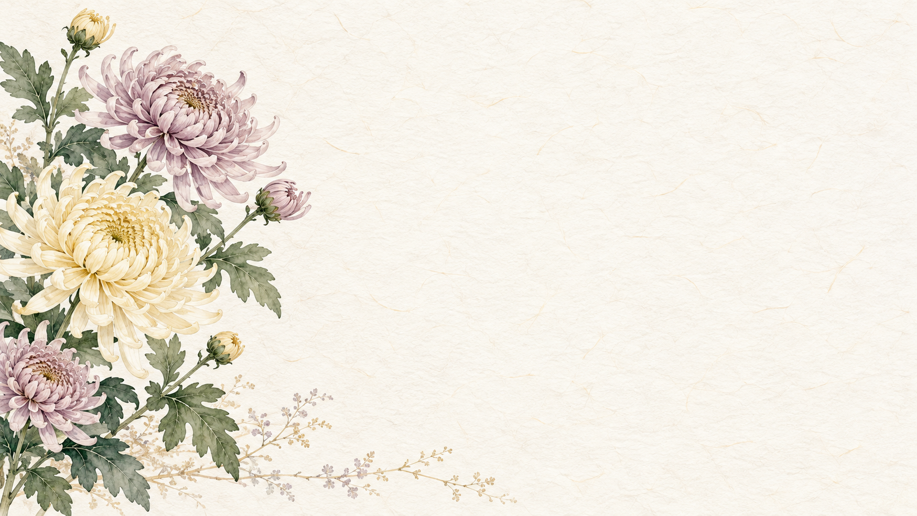菊の花・横長の左飾りの和風背景｜無料イラスト素材 102515に写真・文字を入れる