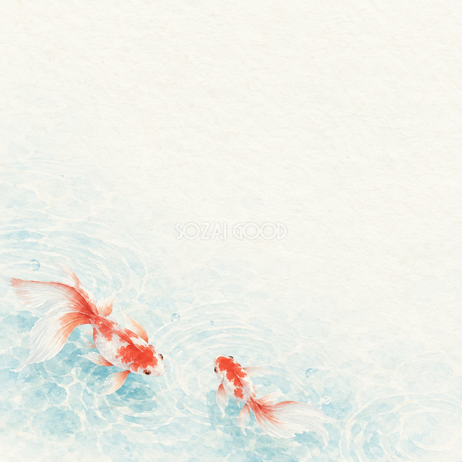 金魚と水紋下辺背景 金魚と水紋下辺背景