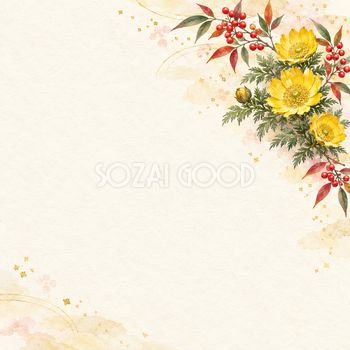 福寿草と南天・右上のお正月背景｜無料イラスト素材 102768