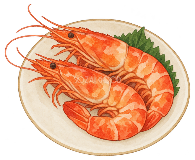海老のうま煮イラスト