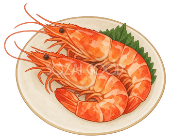 海老のうま煮の水彩イラスト｜お正月の無料素材 102922