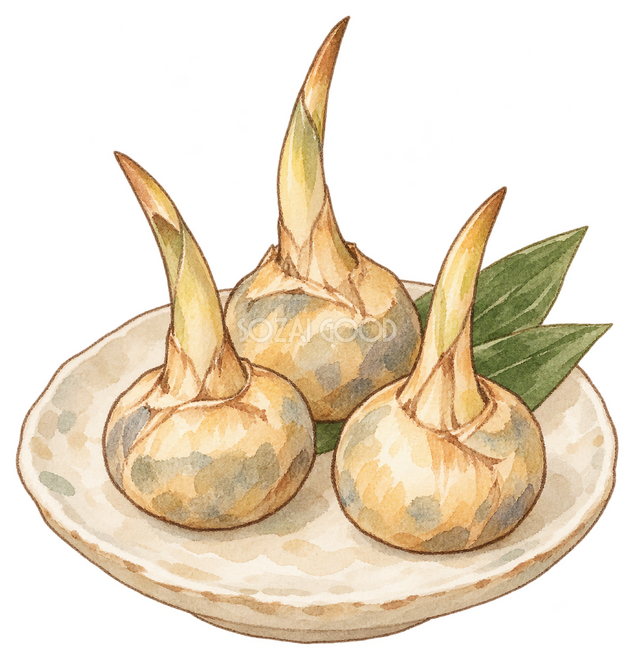 くわいの煮物イラスト
