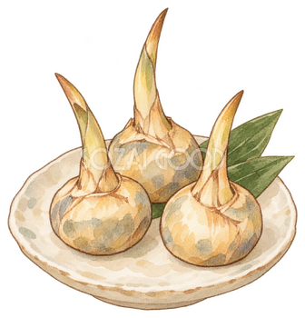くわいの煮物の水彩イラスト｜お正月の無料素材 102928