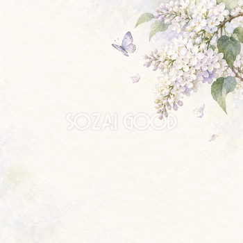 白いライラックと舞う蝶｜文字なしの無料背景イラスト素材 103255