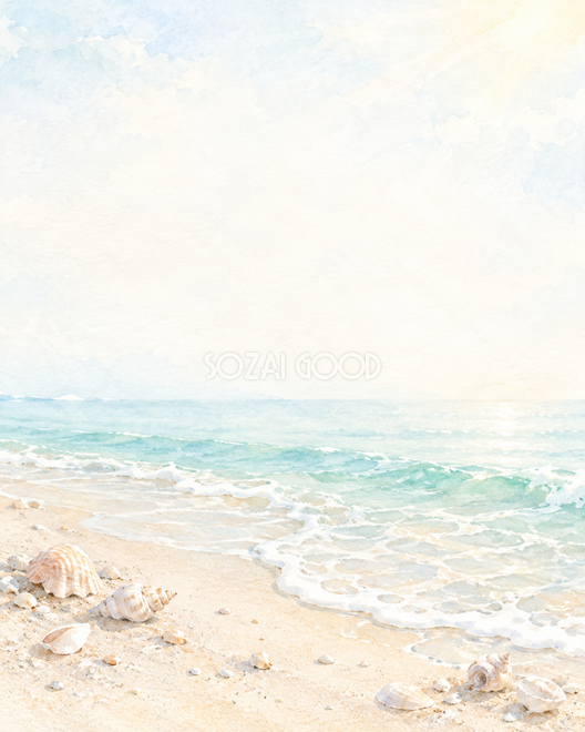 貝殻と海辺の朝 貝殻と海辺の朝