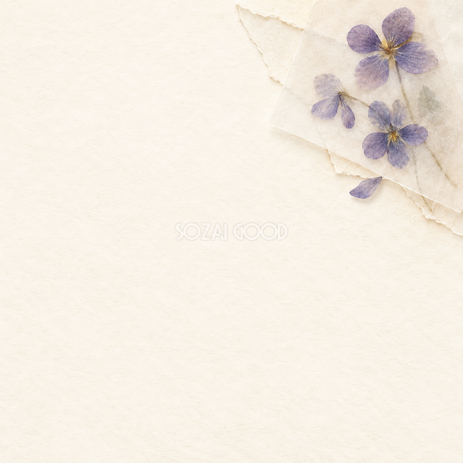 すみれの押し花と薄紙