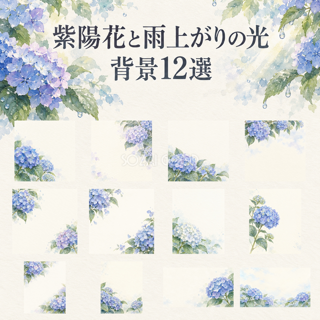 紫陽花と雨上がりの光の背景12選