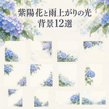 紫陽花と雨上がりの光の背景12選