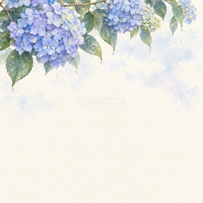 頭上の紫陽花と淡い空 頭上の紫陽花と淡い空