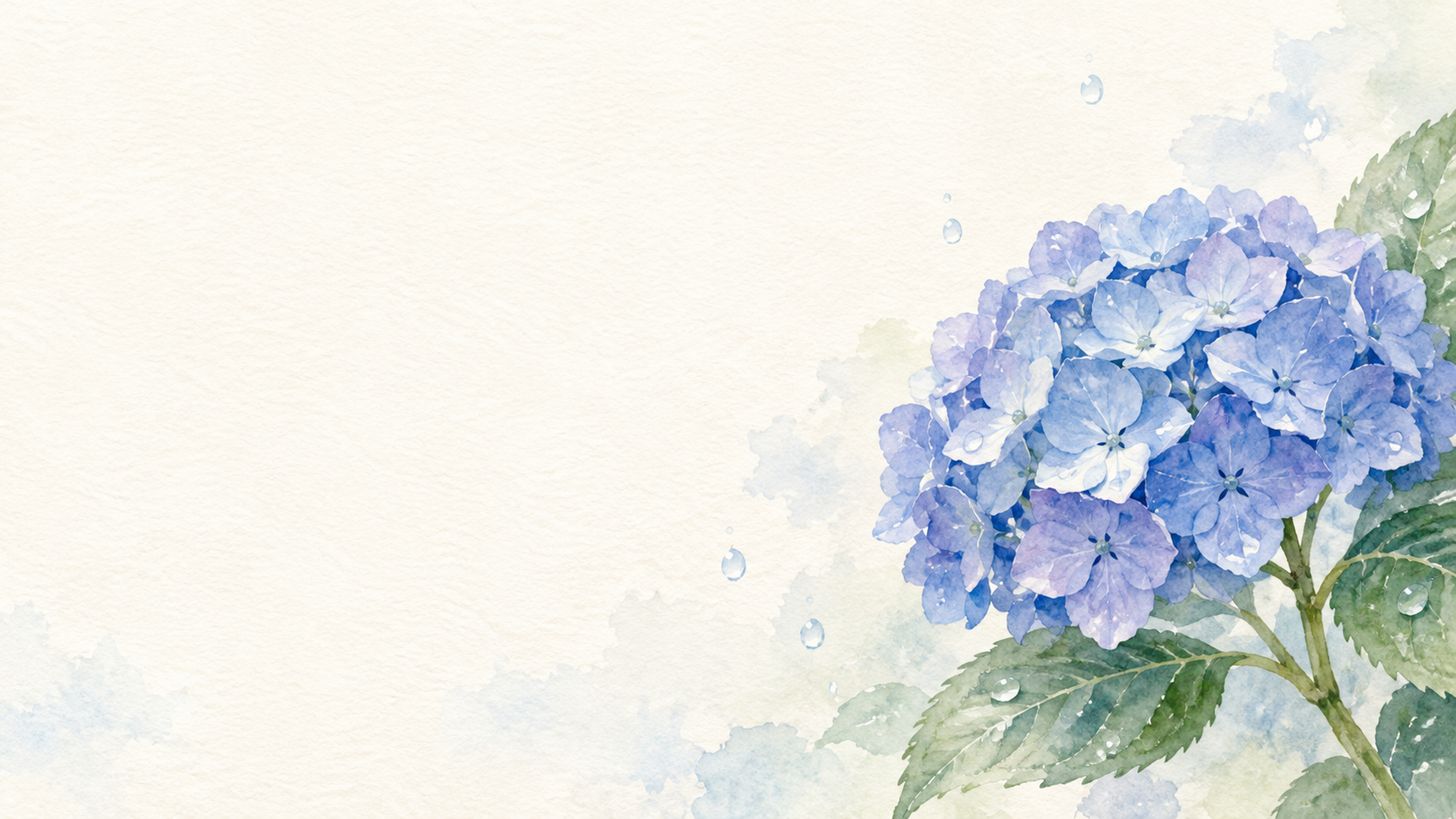 紫陽花の背景｜青い花と透ける雨粒の無料イラスト素材 103454に写真・文字を入れる
