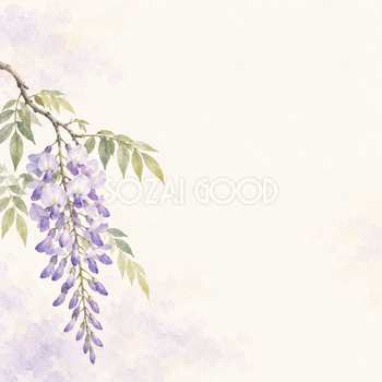 藤の花房と淡い光｜文字なしの無料背景イラスト素材 103522