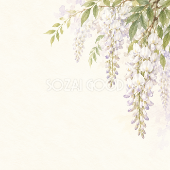 白い藤と薄紫の影｜文字なしの無料背景イラスト素材 103523