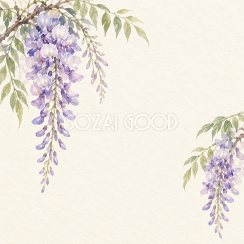 二つの藤の花房｜文字なしの無料背景イラスト素材 103526