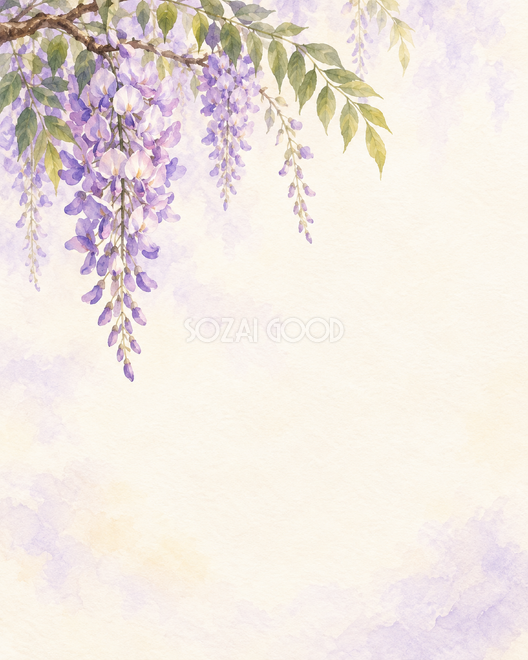 藤の花房と明るい余白