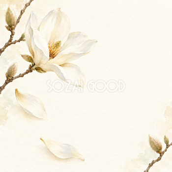 木蓮の花びらと余白｜文字なしの無料背景イラスト素材 103540