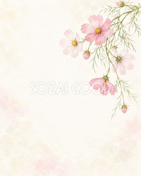 コスモス・垂れる花と余白の縦長背景｜文字なしの無料背景イラスト素材 104148