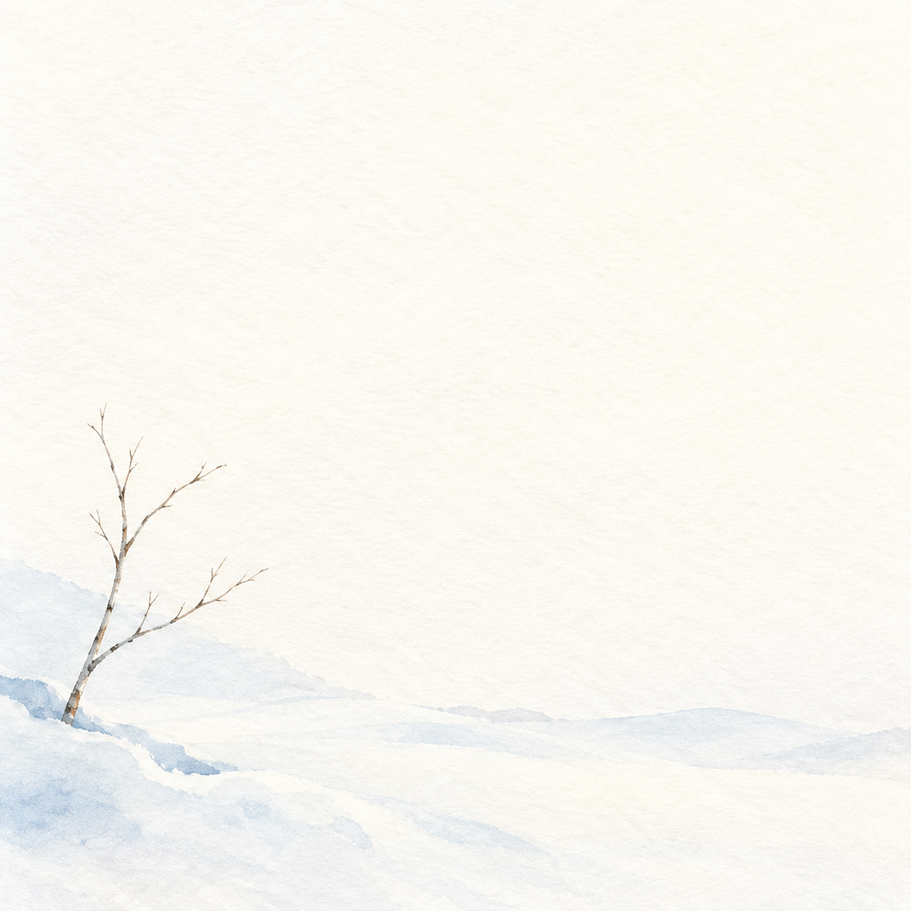 白い雪景色・左下の飾りと明るい余白｜文字なしの無料背景イラスト素材 104152に写真・文字を入れる
