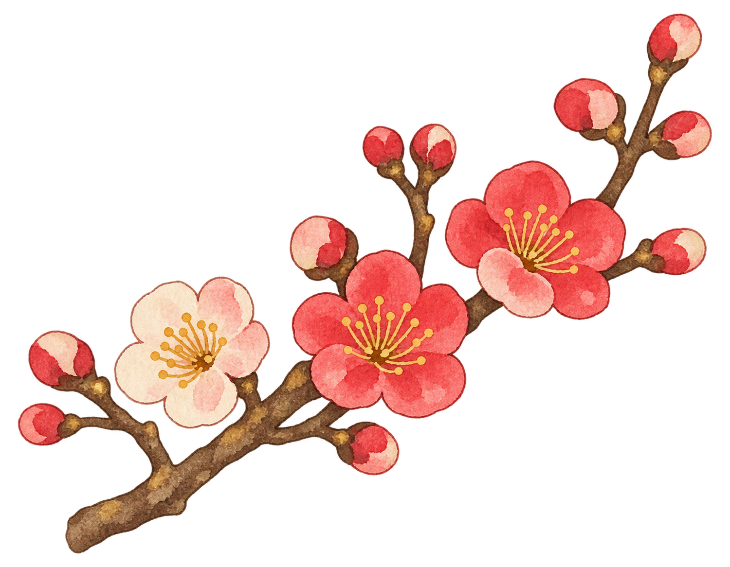 梅の花の小枝の水彩イラスト｜受験・合格祈願の無料素材 104599に写真・文字を入れる