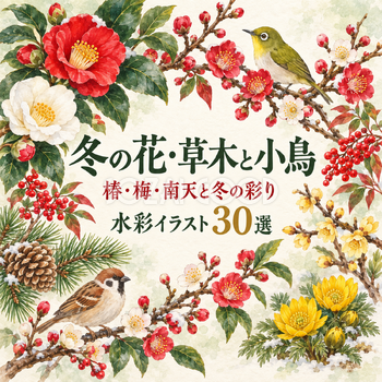 冬の花・植物・鳥30選｜水彩イラストの無料素材 104825