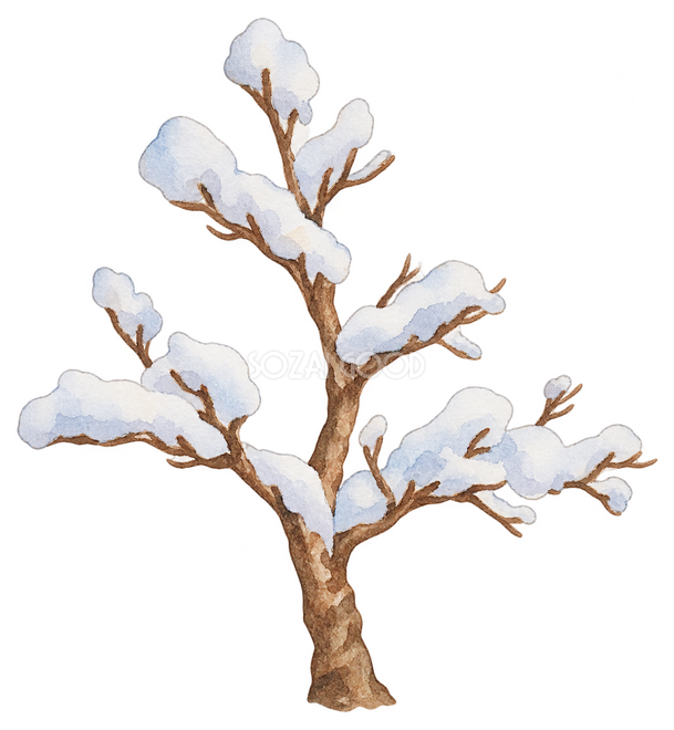 雪の積もった小さな木イラスト 雪の積もった小さな木イラスト