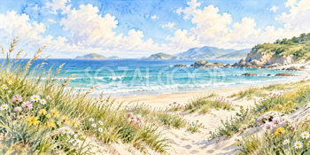 草花と浜｜青い海と砂浜の無料水彩風景イラスト素材 105980