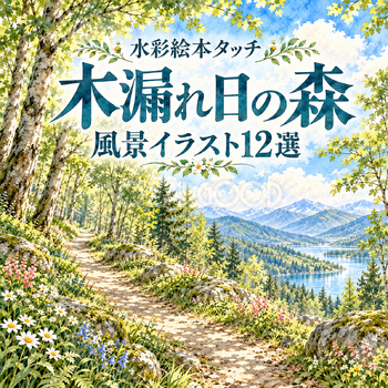 木漏れ日の森12選