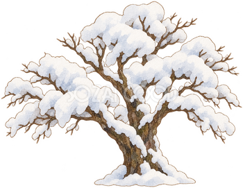 雪の積もった木の水彩イラスト｜大寒の無料素材 106406