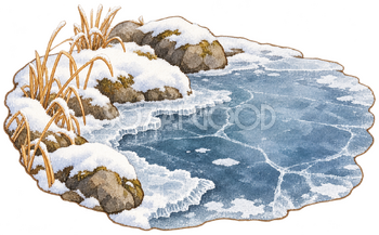 凍った池の縁の水彩イラスト｜大寒の無料素材 106407