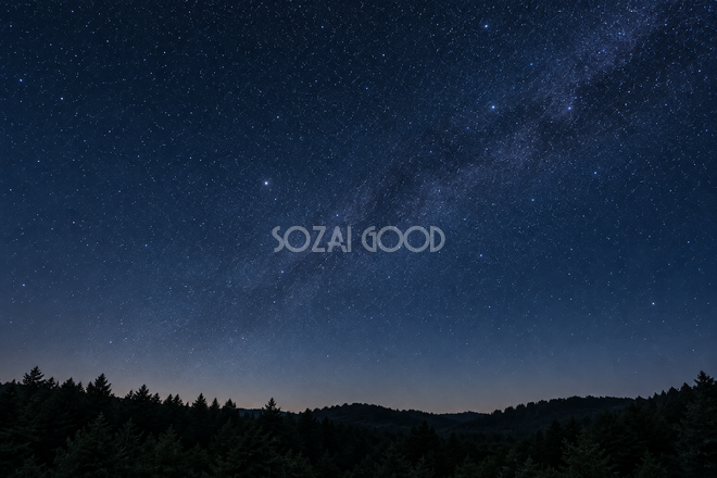 森の上に広がる夜の星空 森の上に広がる夜の星空