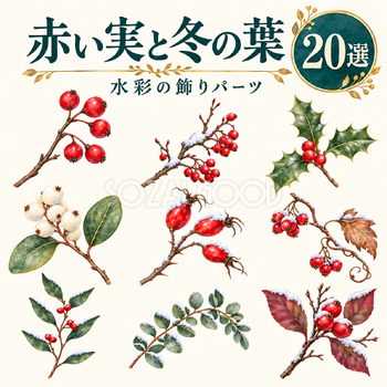 赤い実と冬の葉の枝20選