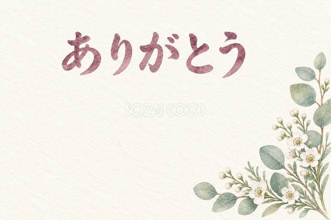 ユーカリと白い小花の「ありがとう」お礼カード ユーカリと白い小花の「ありがとう」お礼カード