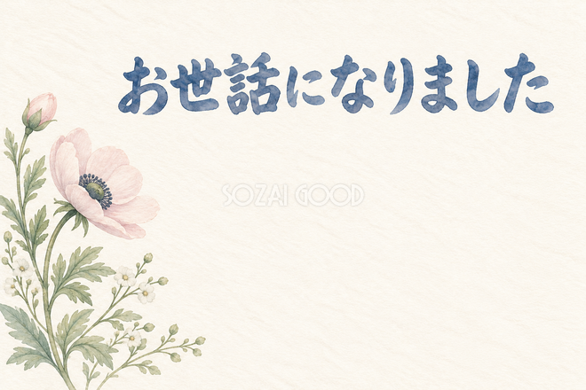 アネモネの横顔の「お世話になりました」お礼カード アネモネの横顔の「お世話になりました」お礼カード
