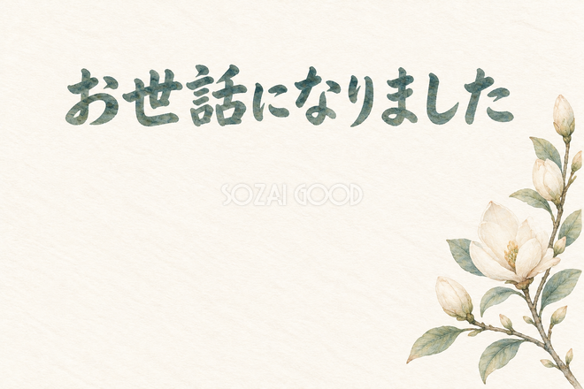白い木蓮のつぼみの「お世話になりました」お礼カード 白い木蓮のつぼみの「お世話になりました」お礼カード