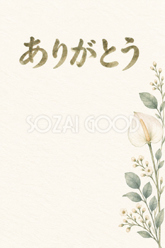 一輪の白いアンスリウムの「ありがとう」お礼カード｜無料イラスト素材 113937