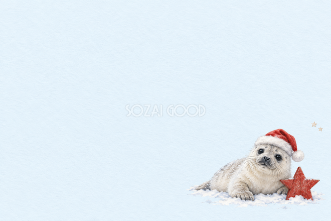 アザラシと雪の星のクリスマスカード