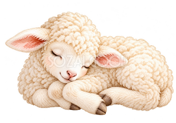 丸くなって眠る羊の水彩イラスト｜毛並みがかわいい無料素材 114981